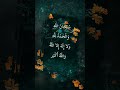 #beautiful #ytool #Youtub #watch #show #4k #islamicdp #videos #photoshoot #nature #viral #status
