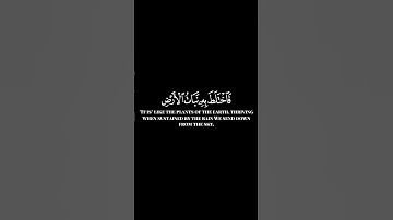 كرومات ايات قرانية شاشة سوداء || سورة الكهف  للقارئ محمد فقيه #محمد_فقيه #سورةالكهف #يوم_الجمعة