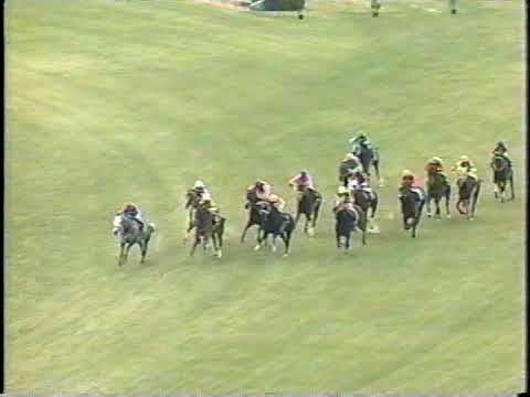 2005 京都牝馬S 　アズマサンダース　人馬共に初重賞制覇