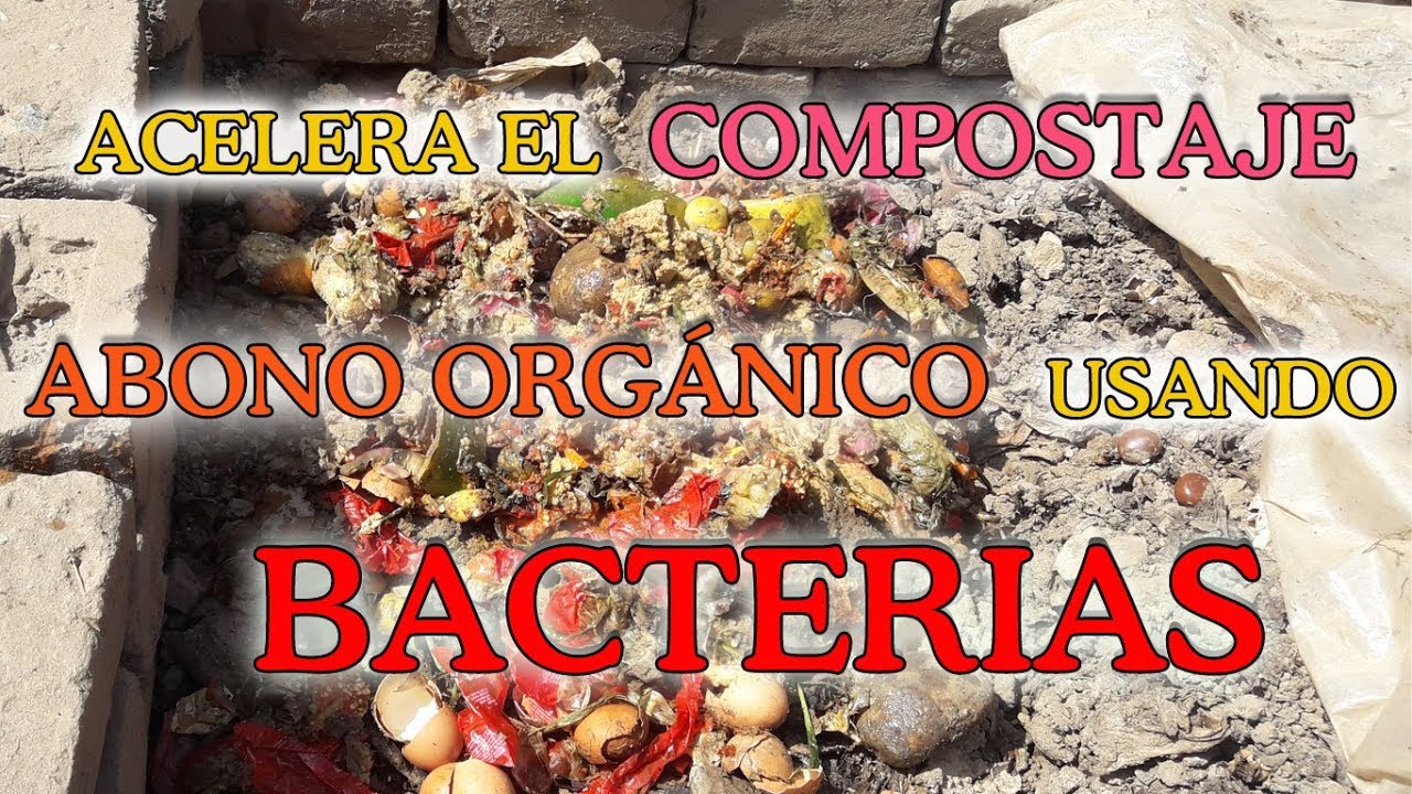 ACELERA EL COMPOSTAJE USANDO BACTERIAS - YouTube