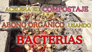 ACELERA EL COMPOSTAJE USANDO BACTERIAS ACELERA EL COMPOSTAJE USANDO BACTERIAS