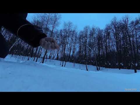Рыбалка в Узком
