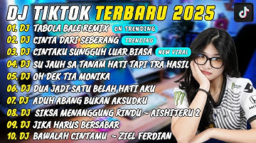 DJ TIKTOK TERBARU 2025 I DJ TABOLA BALE REMIX 🎵 DJ CINTA DARI SEBERANG 🎵 FULL ALBUM 