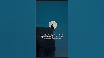 ما اجمل القرآن تلاوته وقراءته وتدبر آياته لا تهجروا القرآن الكريم #قصص هند #اكسبلور
