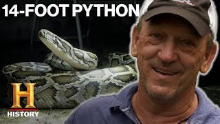 Swamp People: Serpent Invasion: 24 SNAKES CAUGHT in Python Hunting Competition (Season 2) | History