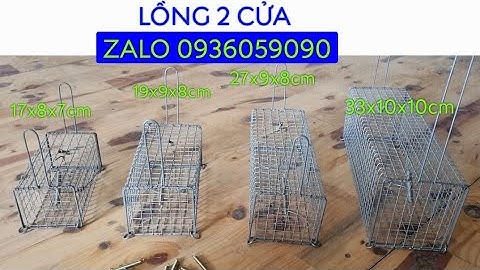 Cung cấp lồng bẫy chuột 2 cửa. Lồng bẫy chuột đường mòn 2 cửa vào. Cung cấp lồng bẫy chuột 2 đầu.