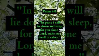 Bible verse Psalm 4:8 as we rest in His care , we can sleep without fear.#psalm4:8#bibleverse#jesus