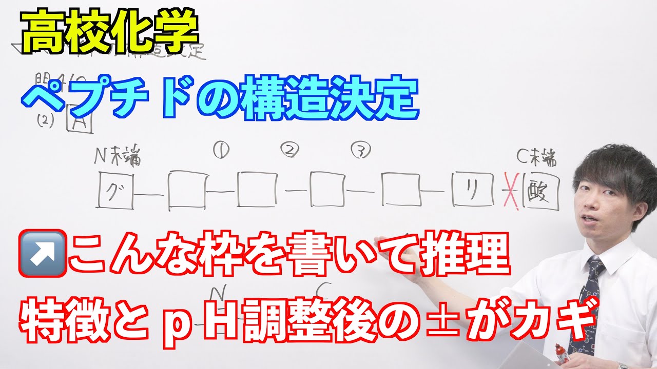 【高校化学】天然高分子⑪ 〜ペプチドの構造決定〜