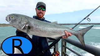 Giant FLORIDA Bluefish in Extreme Conditions
