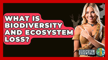 What Is Biodiversity And Ecosystem Loss? - Ecosystem Essentials