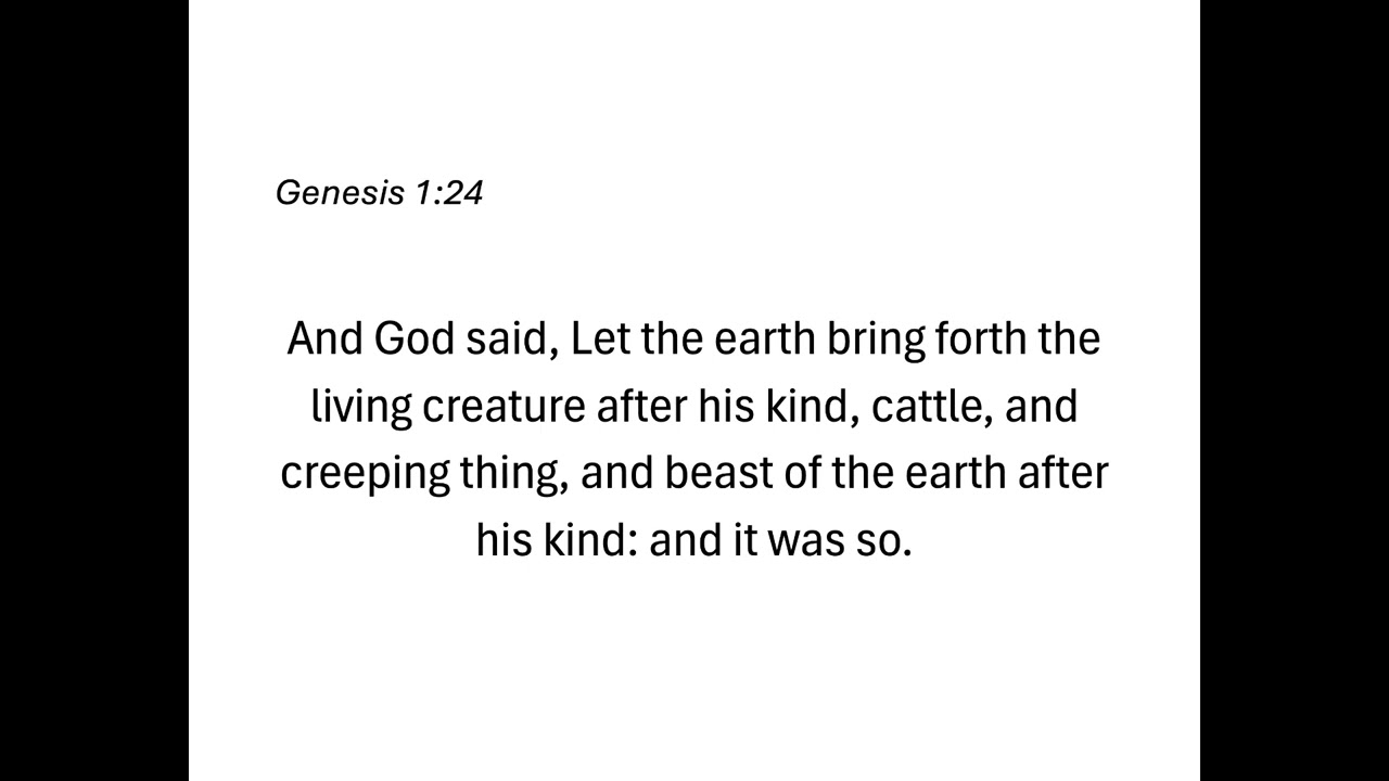 [KJV] Genesis Chapter 1 | Read-Along Audio Bible | English Scripture with Text