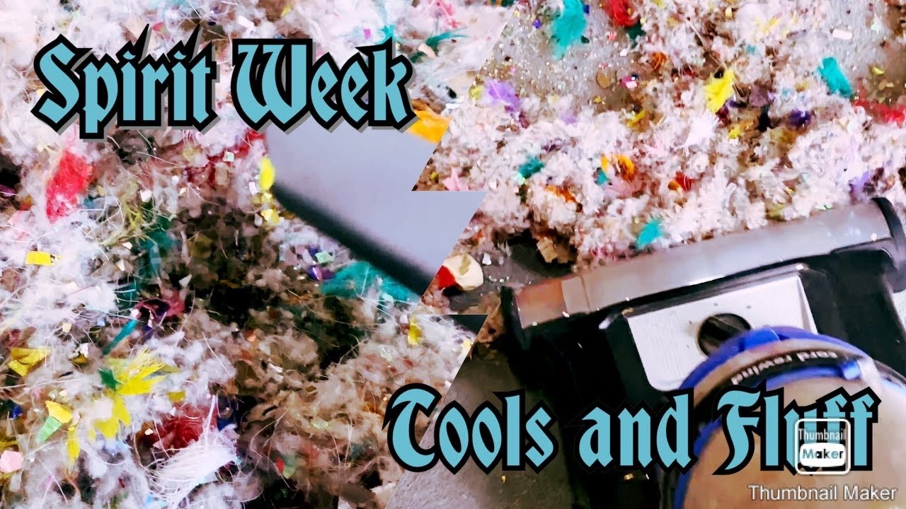 Spirit Week Day 6 | Tools and Fluff