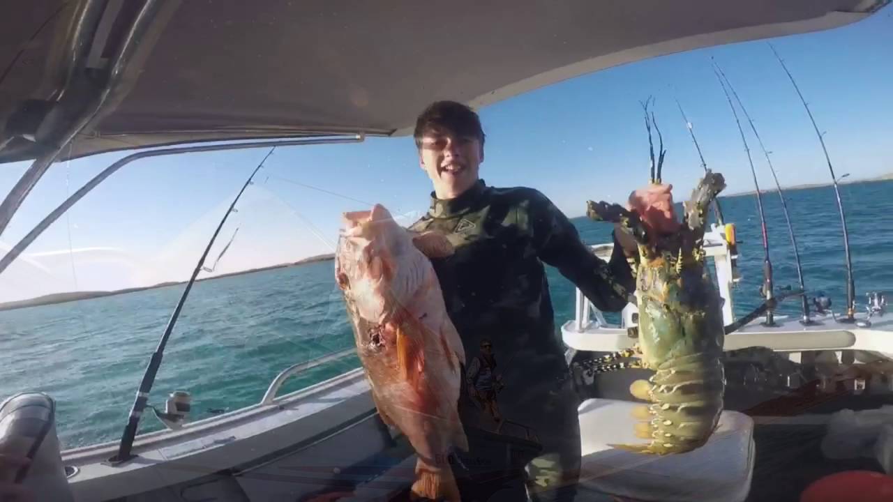 Spearfishing Dampier WA OneShot Spearfishing YouTube