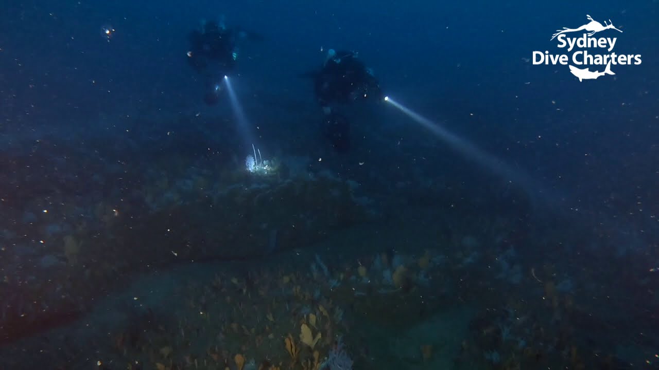 Technical diving Sydney tech dive Peak Reef best dive site