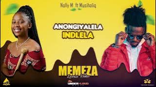 Nolly M - Memeza Lyrics Video (feat Musiholiq)
