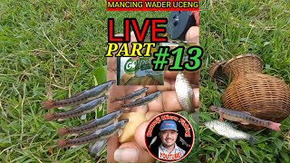 LIVE Umpan Paling Ampuh Mancing Ikan Wader dan Uceng go potato joos