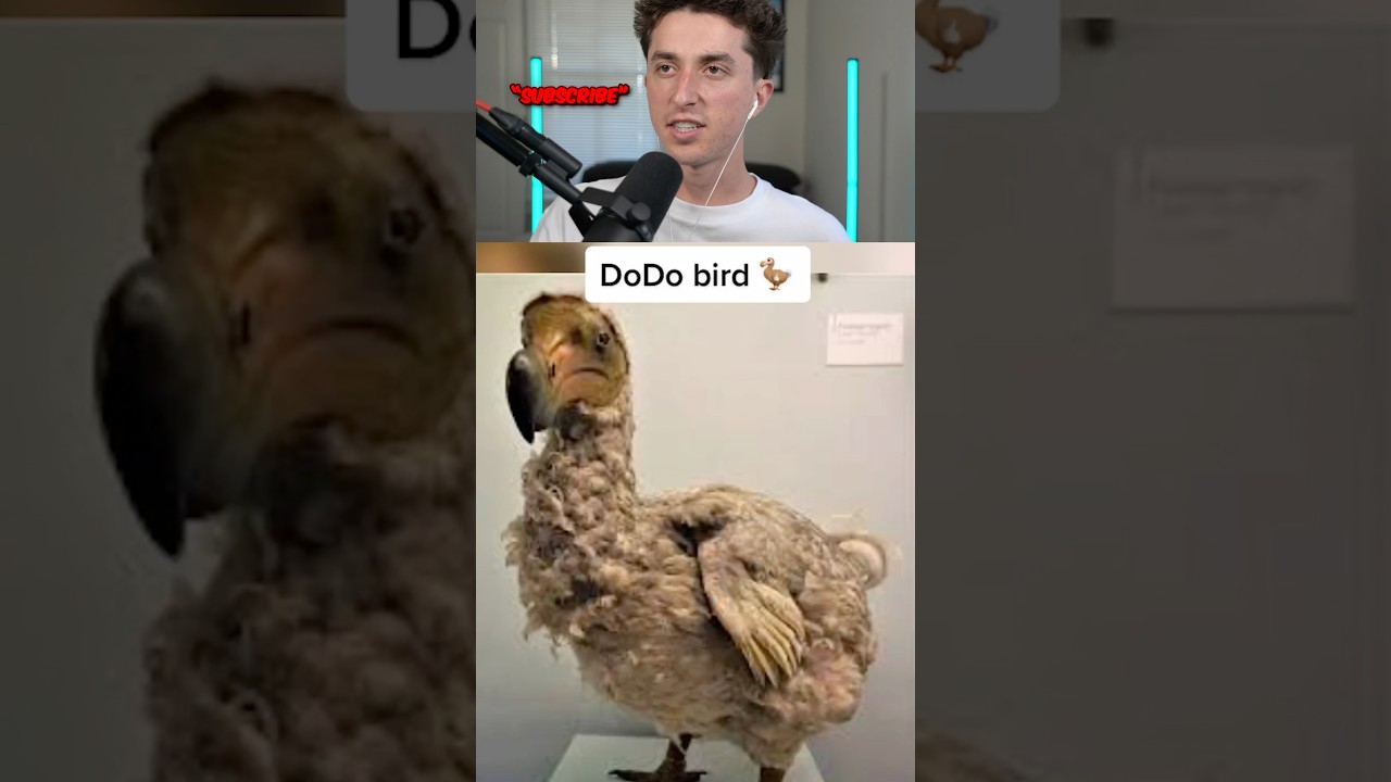 animals glad extinct 🤯😱