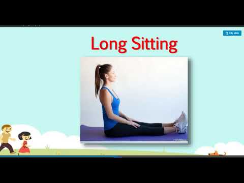 body shapes and actions youtube