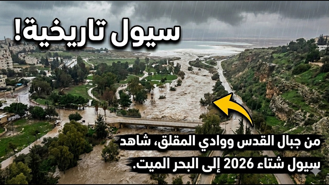 #شتاء_2026