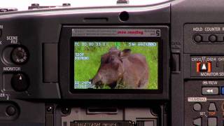 HPX300 YouTube