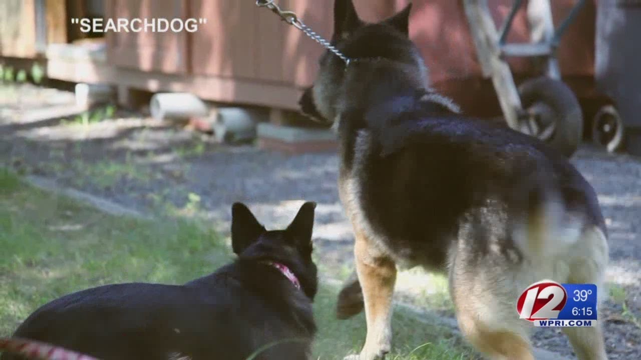 Documentary "Searchdog" premieres in Providence