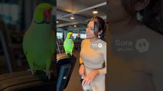 Ye Gym Hai ya Fashion Show ? Parrot ne Larki se Pucha   #funnyparrot #talkingparot #parrotbanters