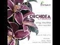 Orchidea virág készítése ehető cukormasszából, lépésről, lépésre