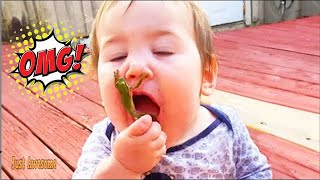 Try Not To Laugh | 100 Baby Funny Moments Meet with Animals - Funny Animals Reaction by Funny Animals Compilation 10 views 2 years ago 7 minutes, 39 seconds