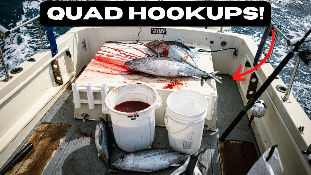 Lost the Gaff! Tuna Fishing with ChrisPFish Fort Bragg, CA YouTube