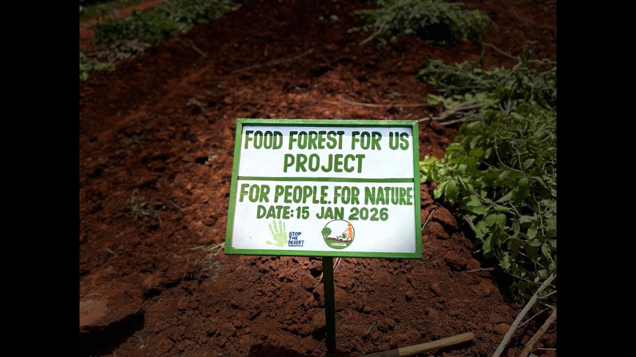 Empowering communities with practical skills to establish Multi-strata foodforest