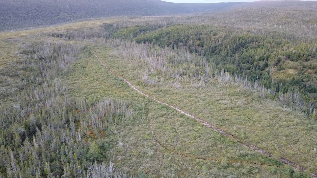 1st Drone Flight (Success and bonus Moose Sighting)