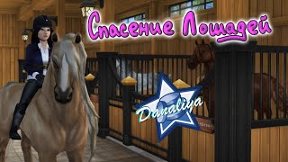 картинка: Покупаем Андалузов 1 поколения |Star Stable Online|