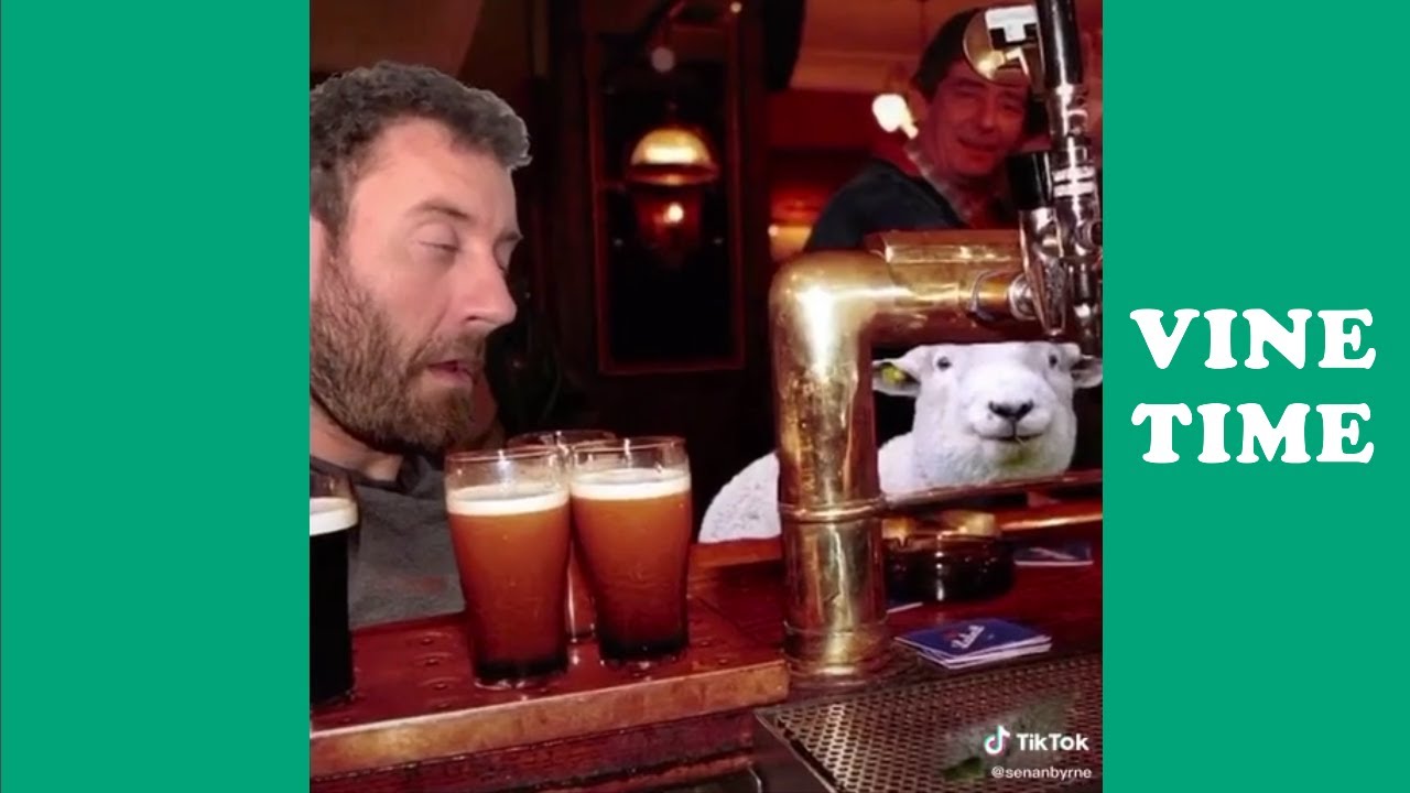 Best Tik Tok of Senan Byrne (W/Titles), Funny Senan Byrne Tik Toks  November  2020