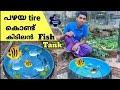 Fish Pond Making At Home With Old Tire|പഴയ ടയർ കൊണ്ട് അടിപൊളി മീൻ കുളം