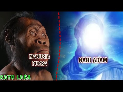 Video: Lucy Adalah Nenek Moyang Manusia? - Pandangan Alternatif