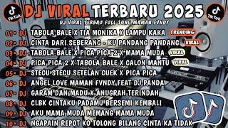 DJ VIRAL TIKTOK 2025 | DJ STECU STECU STELAN CUEK BARU MALU | DJ KAU BUAT KU MENANGIS PILU
