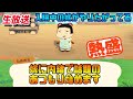 相方退院記念！やってもいいよ♪あつまれどうぶつの森Switch