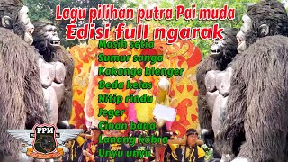 lagu pilihan putra Pai muda terbaru 2024