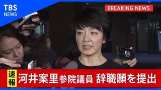 【速報】河井案里参院議員が辞職願を提出
