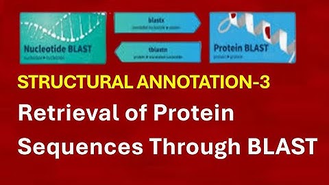 Structural Annotation-3: Retrieval of Protein Sequences Through BLAST