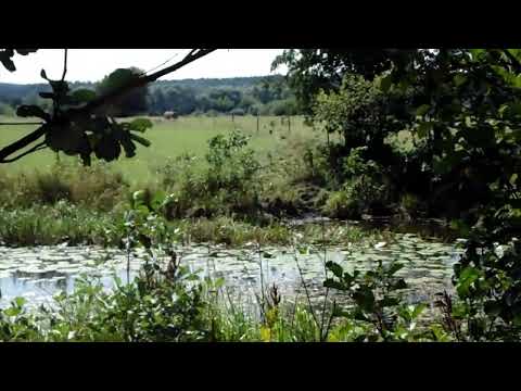 Agencja Nieruchomości AGEMA Poleca Nieruchomość W Miejscowości Osłowo Gmina Mielnik