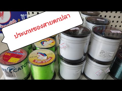 ตกปลาน่ารู้ EP3. ประเภทของสายที่ใช้ในการตกปลา