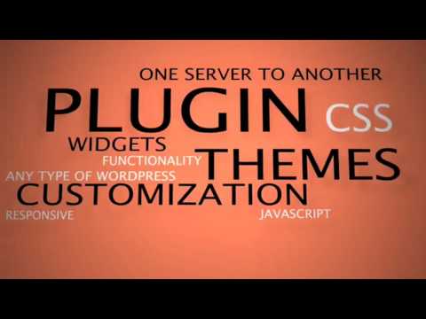 Wordpress Plugin widget or fix any problem or custom work