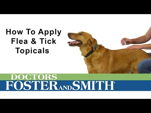 How to Apply K9 Advantix II Flea & Tick Topical