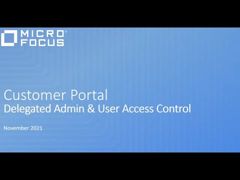 Customer Portal - Delegated Admin and User Access Overview