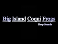 45 Minutes | Sleep Sounds: Big Island Coqui Frogs | Hawai'i