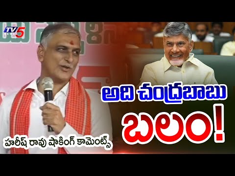 BRS MLA Harish Rao  Comments on AP CM Chandrababu Strenghth | BJP | Modi |  TV5 News - TV5NEWS
