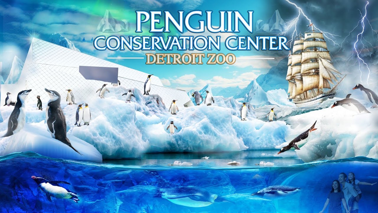 Экскурсии по зоопарку: Центр сохранения пингвинов | Зоопарк Детройта