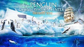 Zoo Tours: Penguin Conservation Center | Detroit Zoo