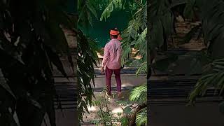 pk bansiwal ko like subscribe kar do yaaron